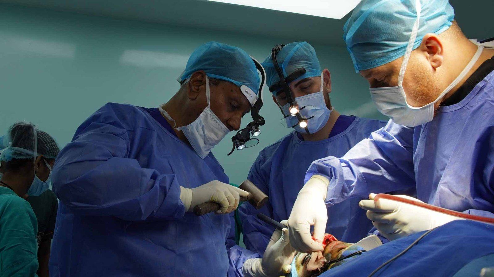 Past RIAMS rhinoplasty course 2